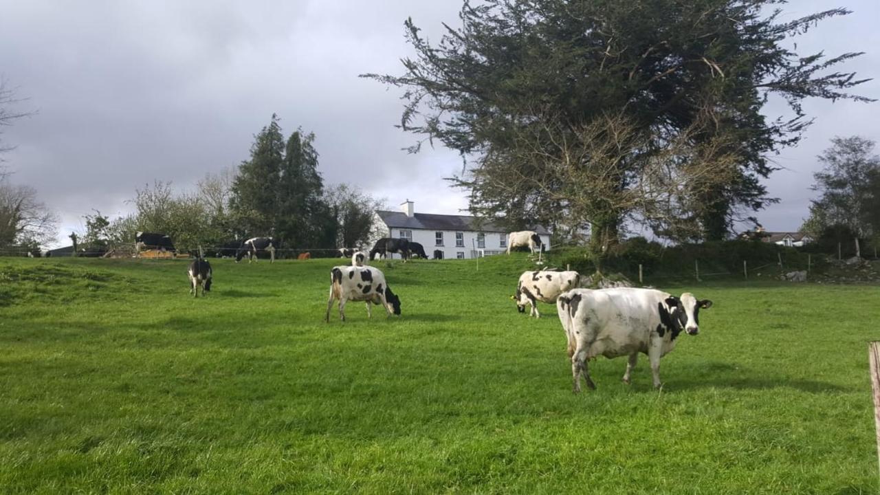 Gortamullen House, Kenmare Bed & Breakfast ภายนอก รูปภาพ