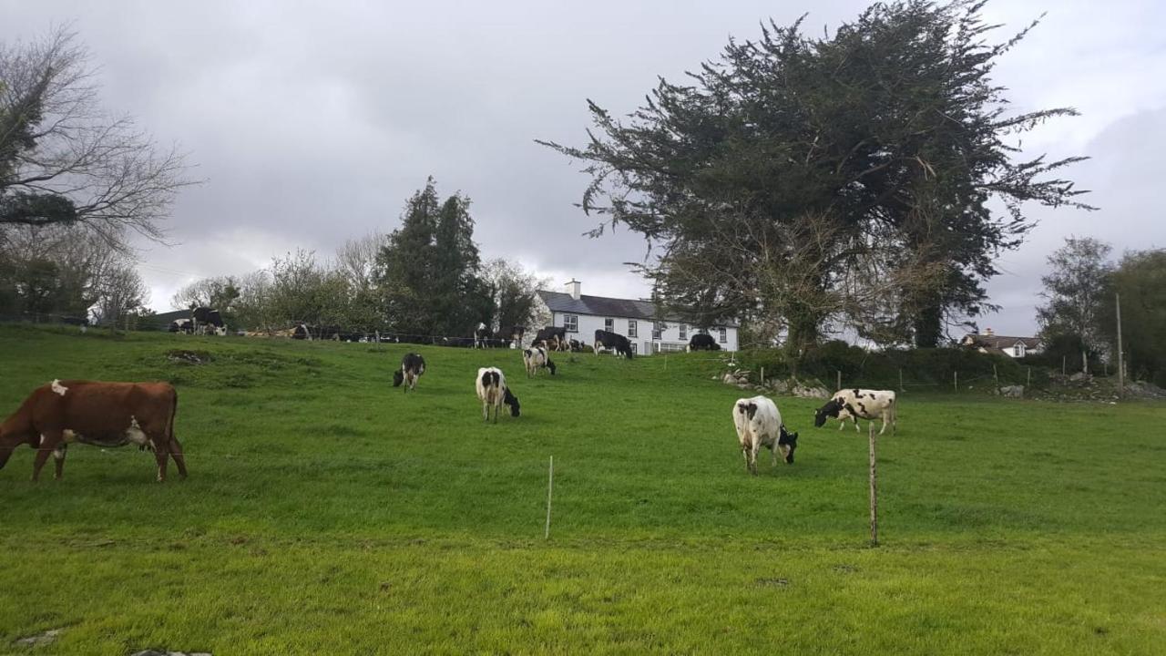 Gortamullen House, Kenmare Bed & Breakfast ภายนอก รูปภาพ